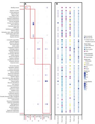 Different influences of phylogenetically conserved and independent floral traits on plant functional specialization and pollination network structure